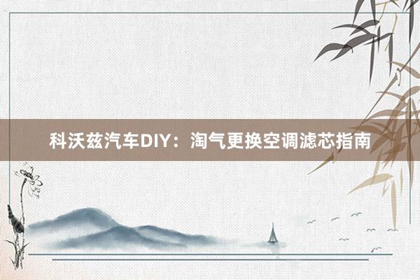 科沃兹汽车DIY：淘气更换空调滤芯指南